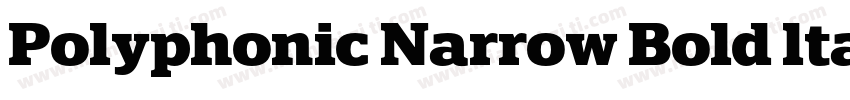 Polyphonic Narrow Bold ltalic字体转换